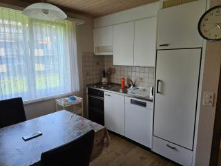 Haus Ahorni,  ruhige 1 Zi-Wohnung, Wi-Fi, Aussicht, - b48579 - 3