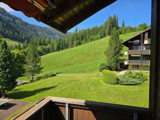 Haus Ahorni,  ruhige 1 Zi-Wohnung, Wi-Fi, Aussicht, - b48579 - 1