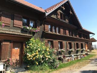 Bauernhof Sal - Bütschwil - 0