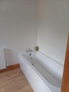 Y Llew Coch Tregaron - 8