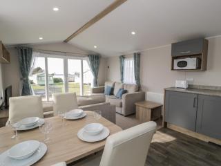Gold Caravan 203 - Talybont - 5