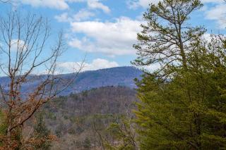 Let The Good Times Roll by American Patriot Getaways - 3