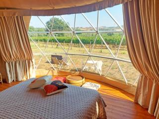 Le Stelle di Elisa - Wine & Truffle Glamping - 4