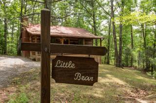 Little Bear by American Patriot Getaways - 5