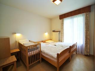 Chalet in Crans Montana near Ski Slopes - Randogne - 7