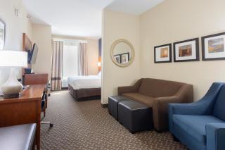 Comfort Suites Troy-I75 - Troy - 0