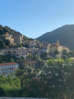 Charming air-conditioned house with garden & view - Olmeto - 9