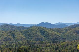 Log Wild! by American Patriot Getaways - 2