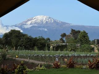 Kibo View Farm Lodge - Shiri - 9