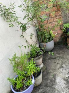 Casa para cop 30 - Belém - 9
