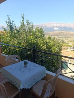 Zota Guesthouse - Gjirokastër - 6