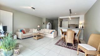 2025-002 - Zeerobben - Knokke Dreams - 9