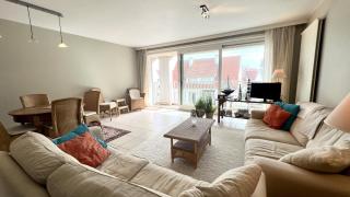 2025-002 - Zeerobben - Knokke Dreams - 8