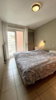 2025-002 - Zeerobben - Knokke Dreams - 6