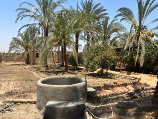 Gamandy Eco-Lodge - Luxor - 2