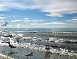 Leśna Sonata Sopot Apartament z Tarasem i Ogródkiem - 1