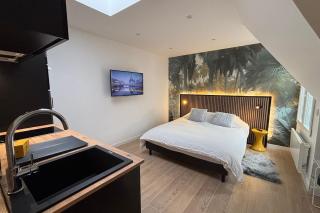 Bright freshly renovated and ventilated studio - 8