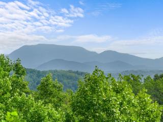 Makin Honey by American Patriot Getaways - 6