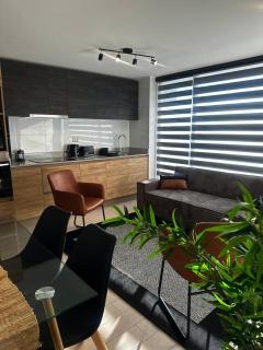 Céntrico y moderno - Concepción - 9
