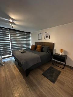 Céntrico y moderno - Concepción - 6