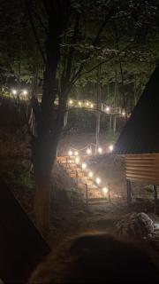 Forest Escape - Theth - 6