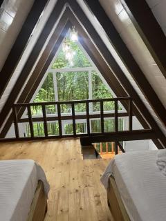Forest Escape - Theth - 3