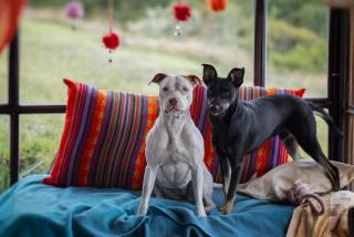 Balcones del Lago de Tota - 1