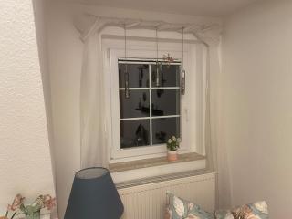 Ferienwohnung Maria mit Elbblick - Coswig - 1