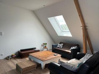 Villa - 14 beds - Snooker - Jacuzzi - loft cinema - 800m Bugatti - 24h du Mans - 1