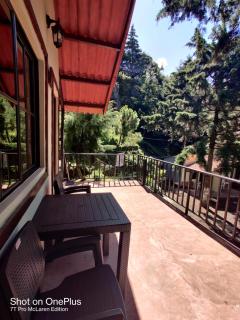 Bosques del Tibet - 7