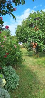 Apartmani Stefano - 4