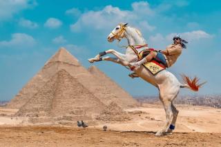 MaKanY Pyramids View - Il Cairo - 8