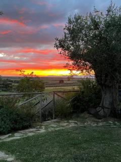 Agriturismo Pavin-Parco della Maremma - 1