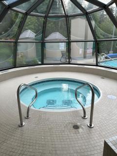 Quiet & Cozy Ski-In Out, Hot tub, pool - Whistler - 4