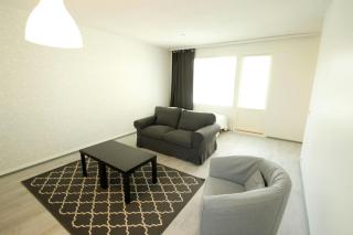 Central and Spacious Apartment for 4 with Sauna - Äänekoski - 0