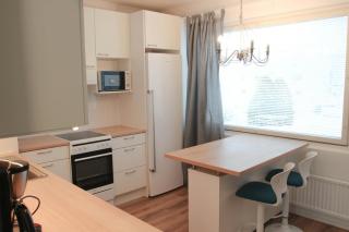 Central and Spacious Apartment for 5 - Äänekoski - 0