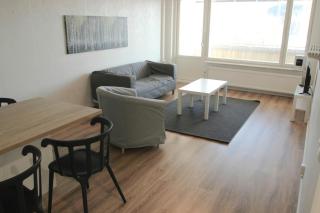 Central and Spacious Apartment for 5 - Äänekoski - 5