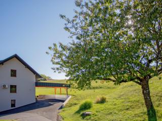 Ferienwohnung zu den Gleichenberger Kögel - Bad Gleichenberg - 6
