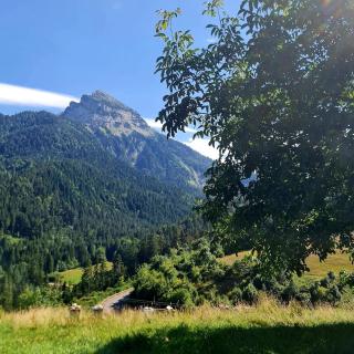 La Grange Doman gîte 1050m alt facing direct Mt Chamechaude, 2-4 persons 125euros - 3