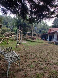 Bosques del Tibet - 5