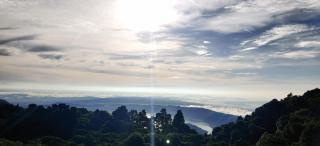 Bosques del Tibet - 8