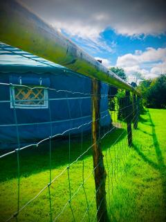 'Villager' the Yurt at Pentref Luxury Camping - Penuwch - 9