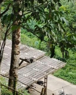 Kuling Camping - 5