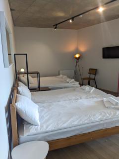 High Gudauri - Ski in ski out - loft with terrace - 5