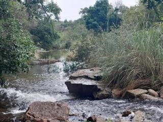129B African Bushveld - Buffelspoort - 4