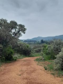 129B African Bushveld - Buffelspoort - 3