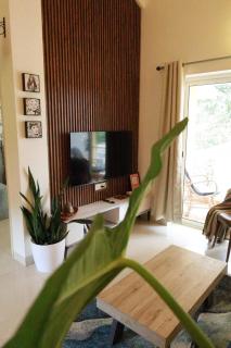 Beautiful 1bhk in Anjuna 700m from beach - Anjuna - 0