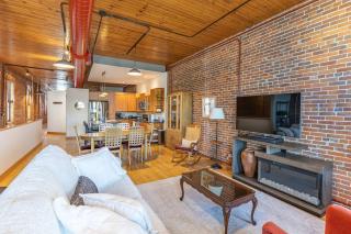 Gorgeous apartment across from La Crosse Center - La Crosse - 1