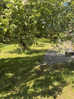 Cosy country house near city - 5