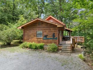 Beary Good Time by American Patriot Getaways - 3